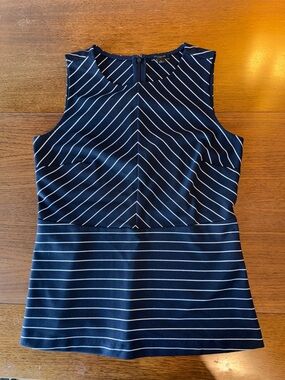 Ann Taylor Navy and White Striped Sleeveless Tank Top